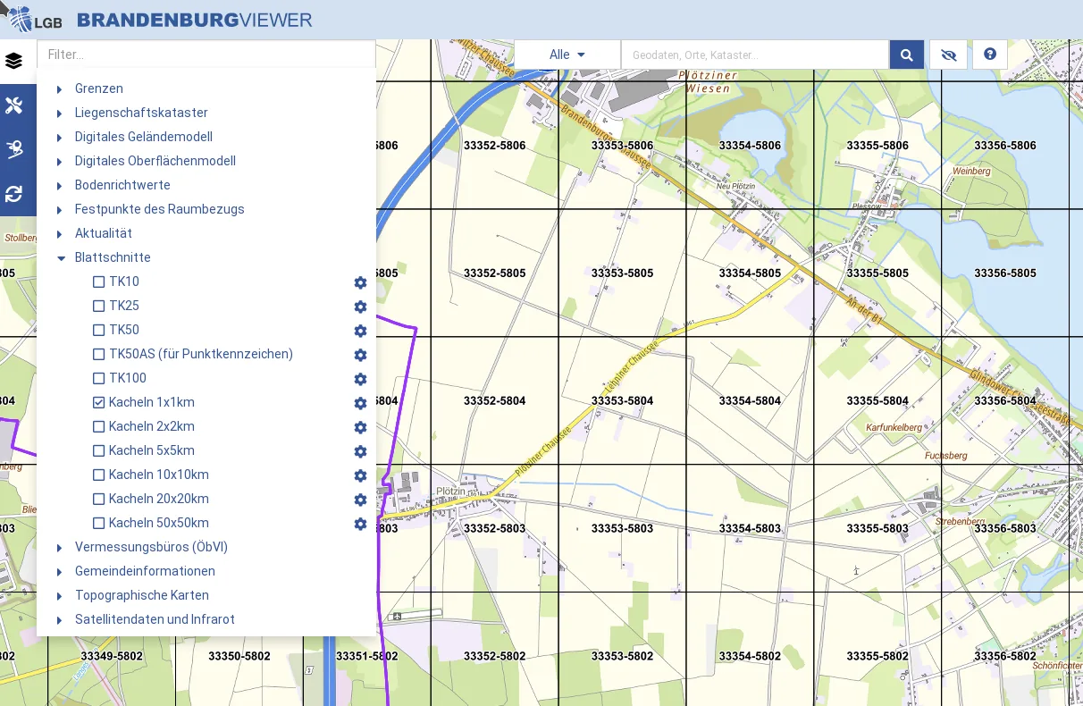 GIS-basierte Flächensuche: DGM-Kachelgrenzen im Landesviewer (Beispiel).